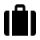 Checked Bag